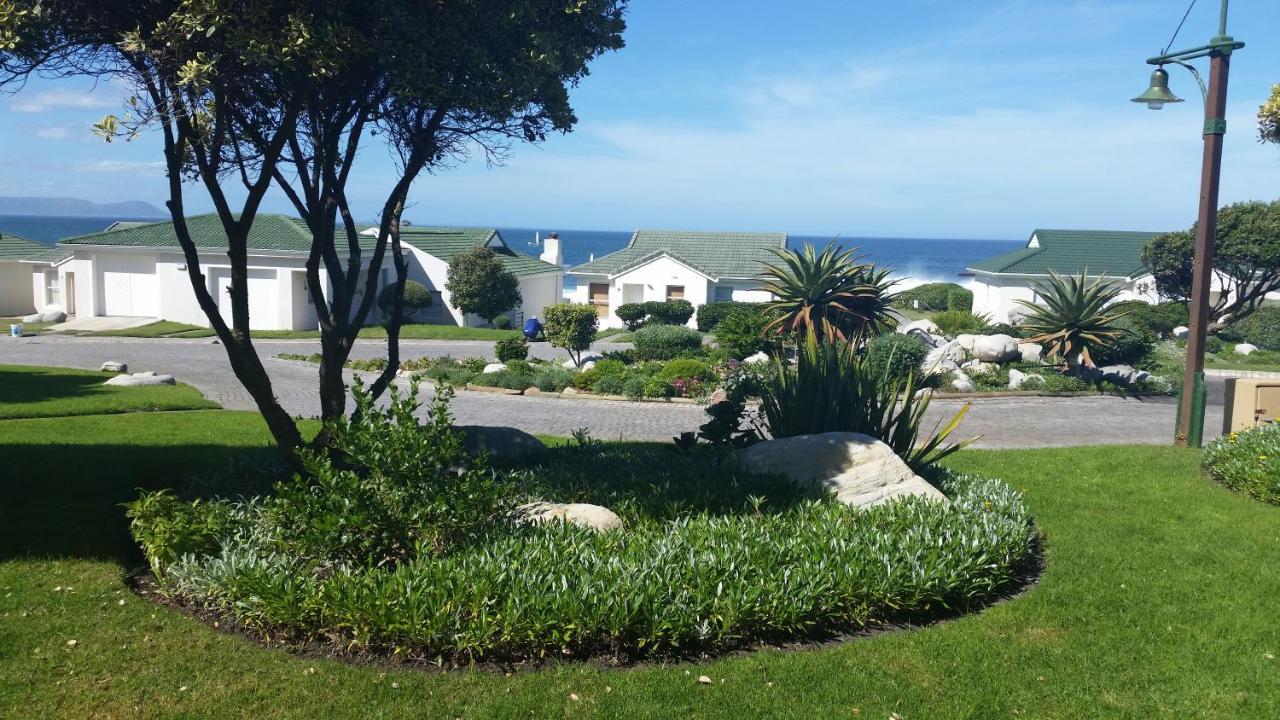 The Potting Shed Self Catering Apartamento Hermanus Exterior foto
