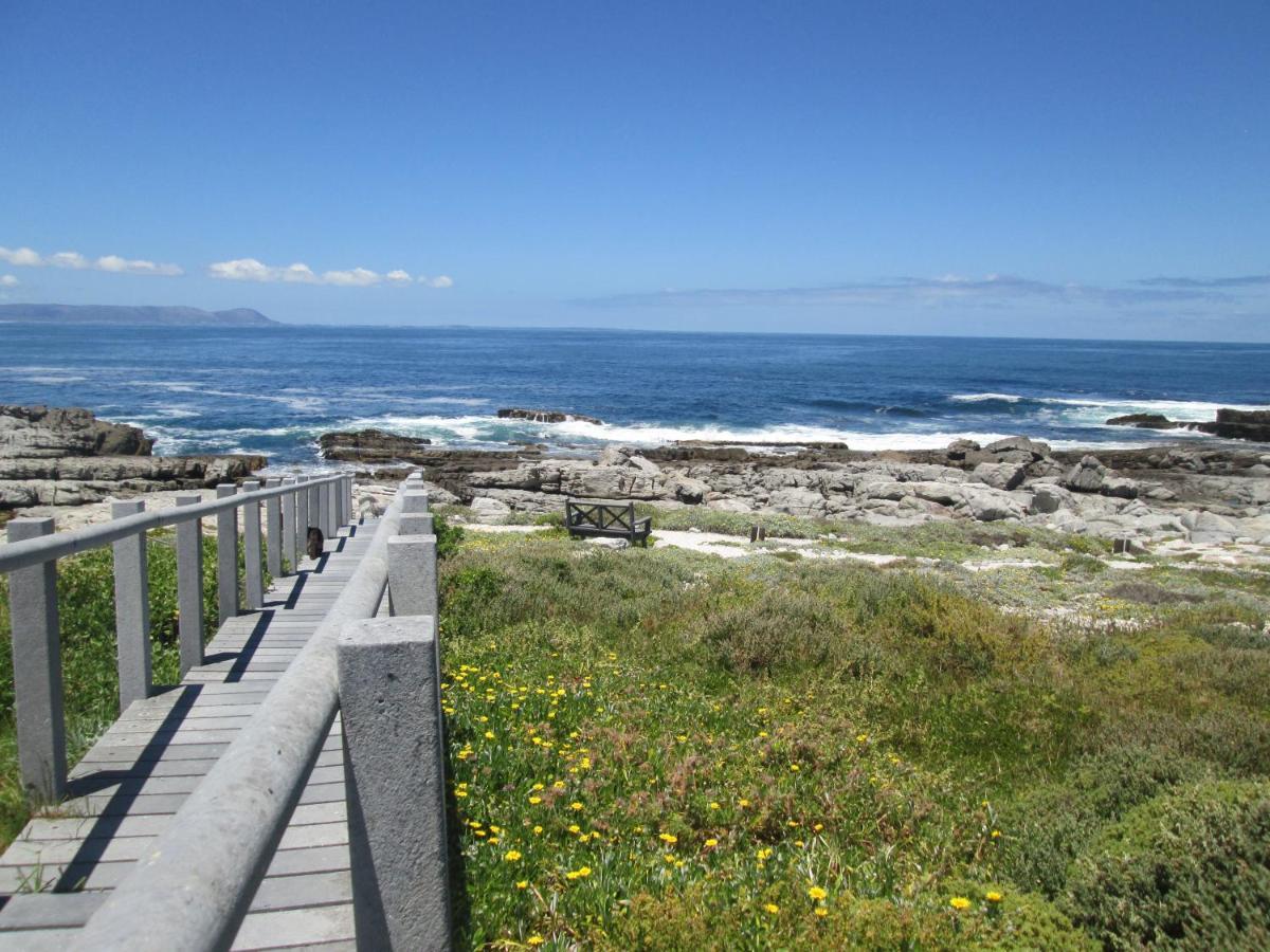 The Potting Shed Self Catering Apartamento Hermanus Exterior foto