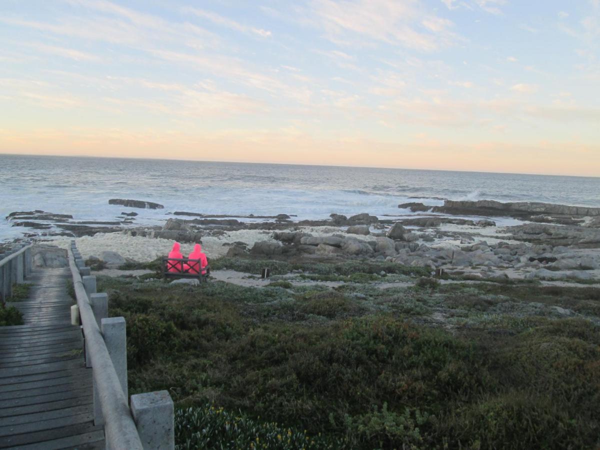 The Potting Shed Self Catering Apartamento Hermanus Exterior foto
