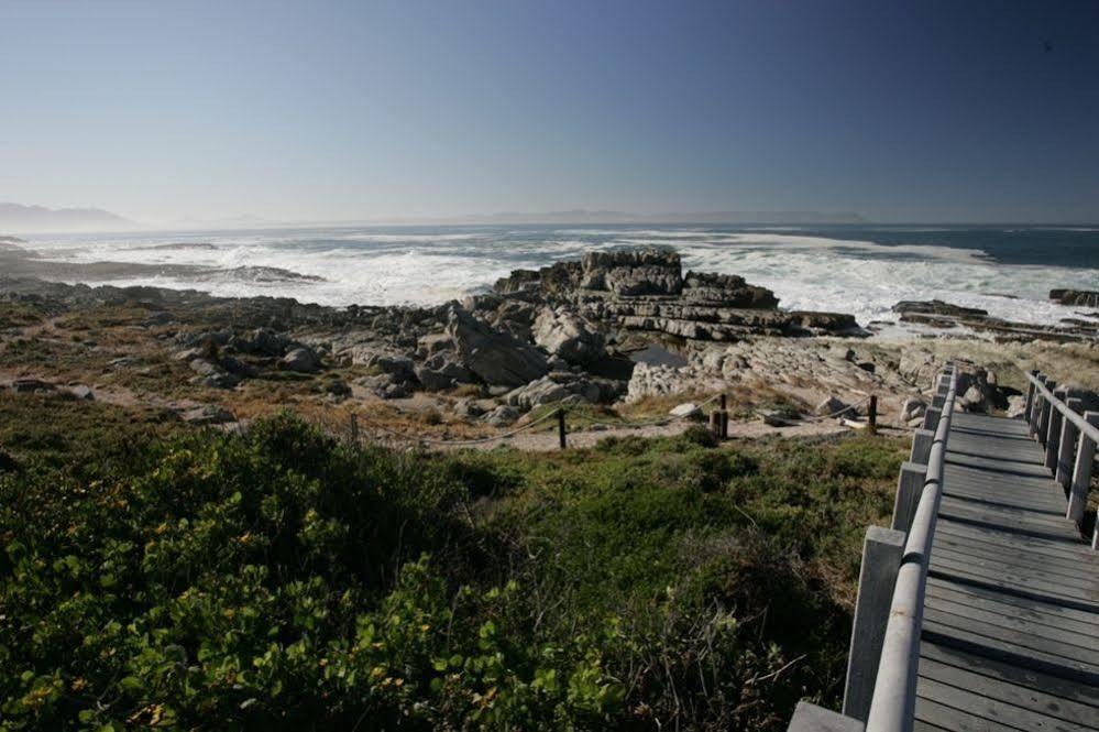 The Potting Shed Self Catering Apartamento Hermanus Exterior foto