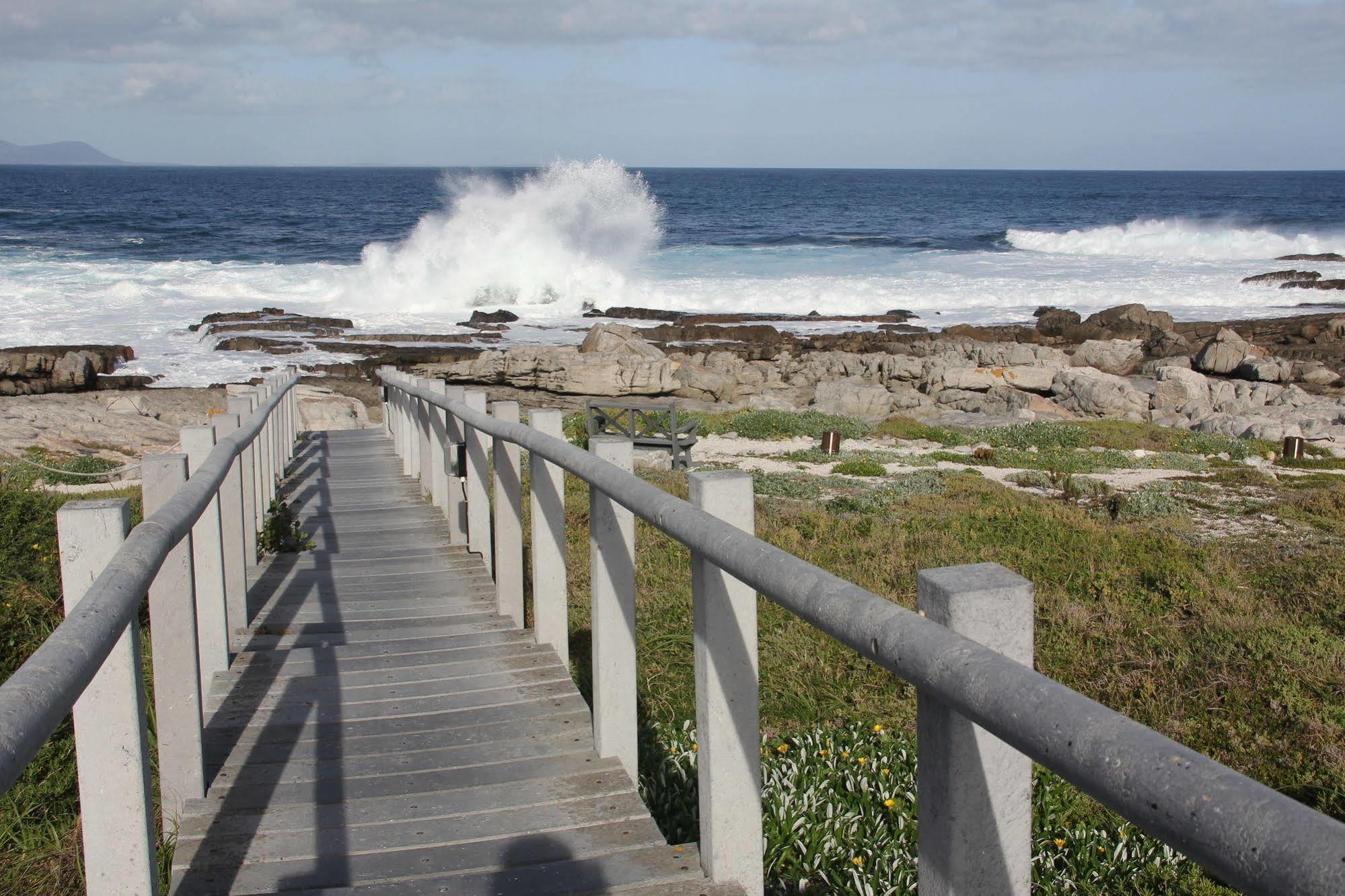 The Potting Shed Self Catering Apartamento Hermanus Exterior foto