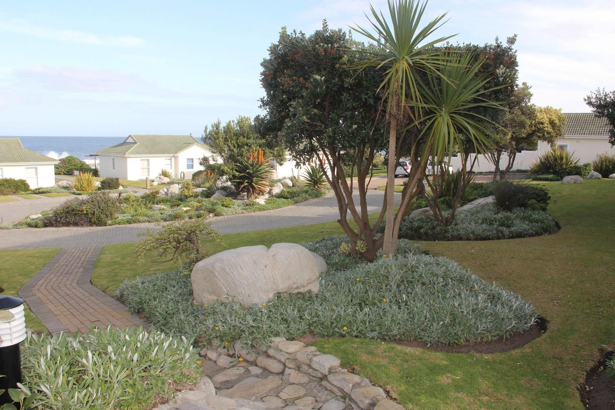 The Potting Shed Self Catering Apartamento Hermanus Exterior foto